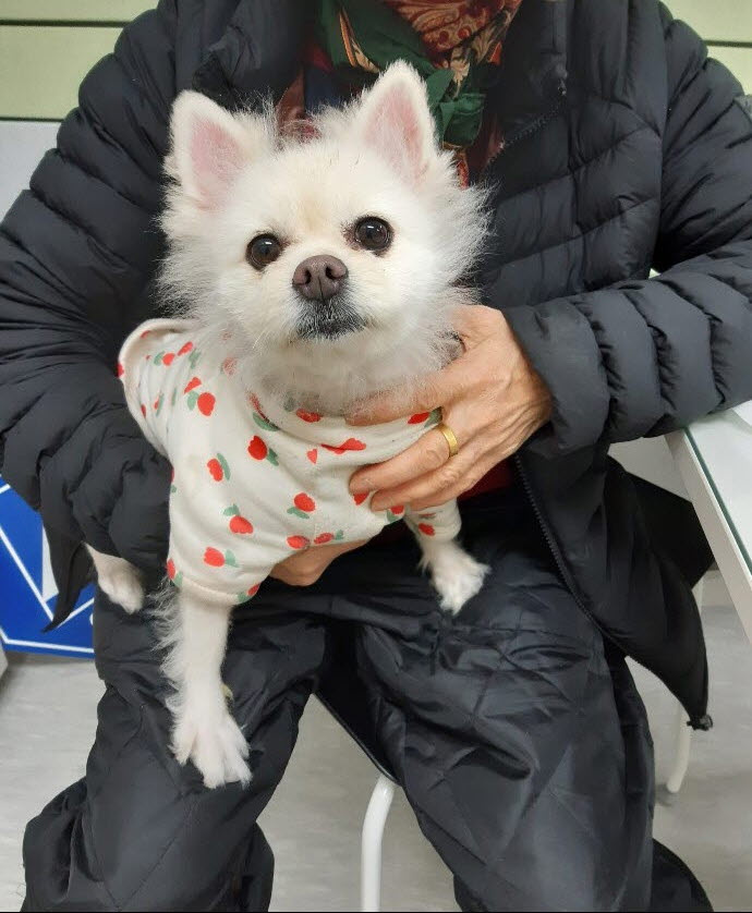 아산동물복지지원센터_444452202300789